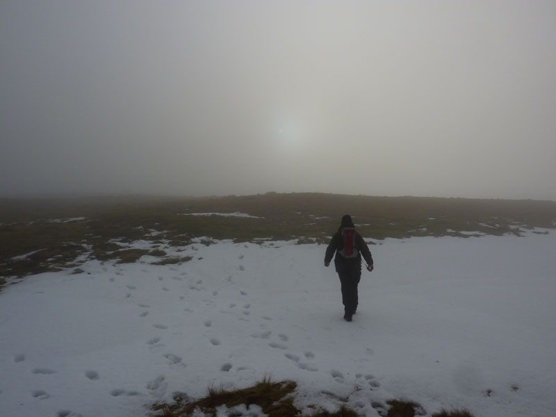 Caudale Moor